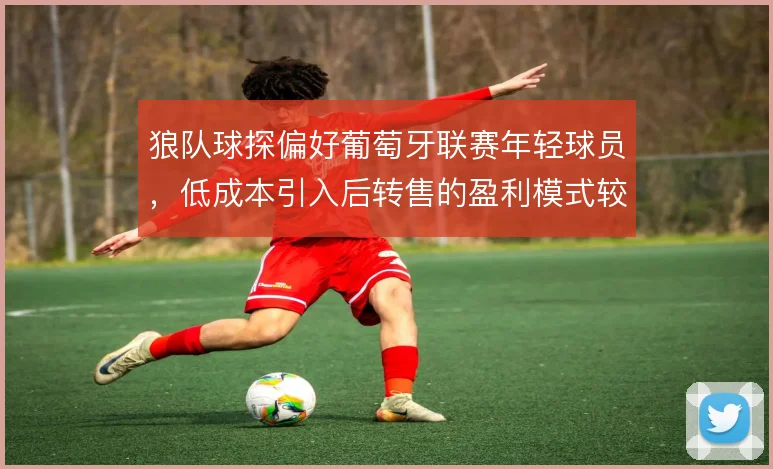 狼队球探偏好葡萄牙联赛年轻球员，低成本引入后转售的盈利模式较为稳定